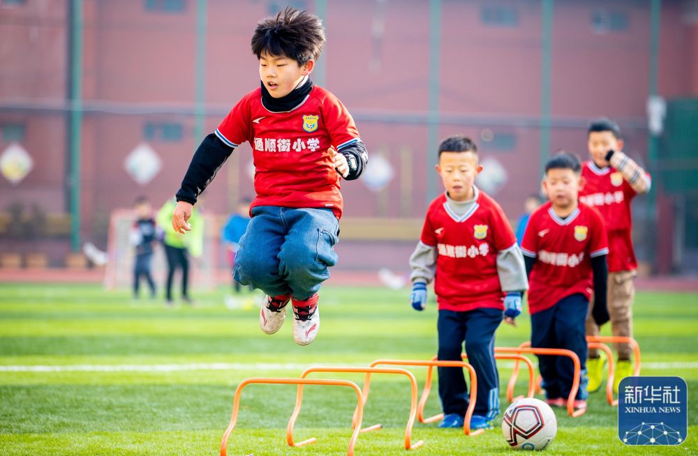 是前锋孵